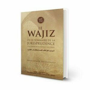 Le Wajiz, ou le sommaire de la jurisprudence (French)