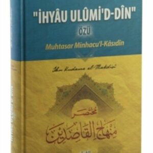 İhyau Ulumi'd- Din Özü ( Türkisch )