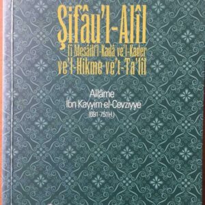 Kulların Fiillerinin Yaratılması ve Kaza Kader Tartışmaları