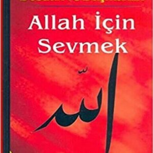 Allah icin Sevmek (Türkisch)